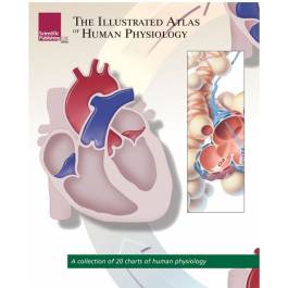 Scientific Publishing PHYS 20 The Illustrated Atlas Of Human Physiology