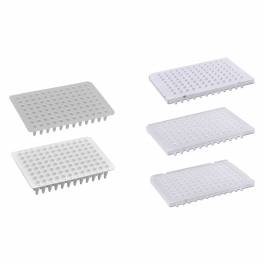 Mtc Bio Pureamp Low Profile Fast Well X Ml Pcr Plates