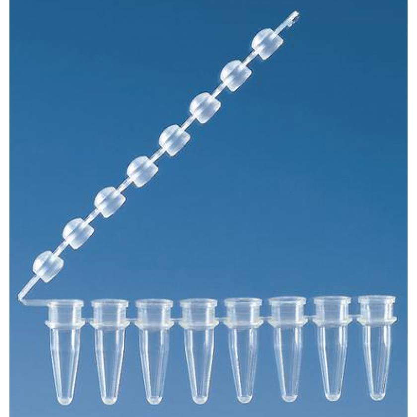 BrandTech 781330 PCR Tube Strip With Attached Domed Strip Cap 8 X 0 2mL