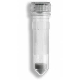 Benchmark D1031-01 Pre-Filled 2ml Tubes with 0.1mm Glass Beads