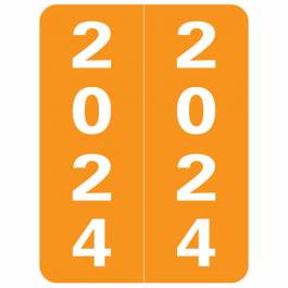 Arden SG3Y-24 2024 Year Labels for Ringbook Safeguard Compatible