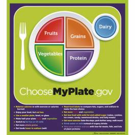 Life/form MyPlate Laminated Poster with Key Phrases - 20 x 18