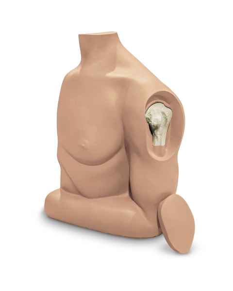 Simulaids Humerus Intraosseous (IO) Trainer