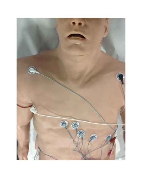 Simulaids 12-Lead Arrhythmia Simulator with Manikin Overlay - Zoll - Large