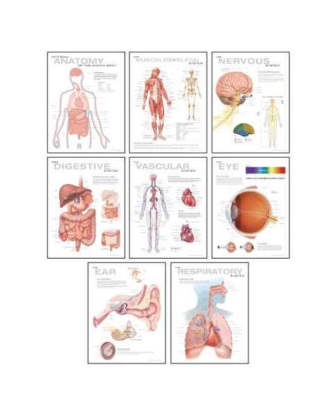 Human Anatomy Chart Pack