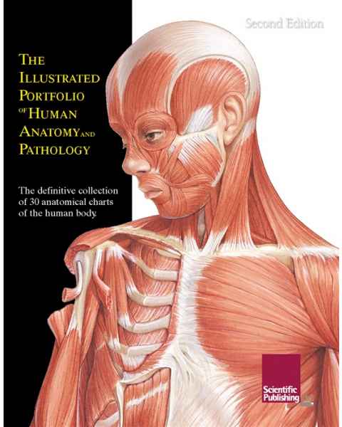 The Illustrated Portfolio of Human Anatomy & Pathology PHAP-30