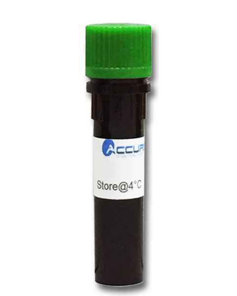 SmartGlow Safe Green Pre Stain, 1.0ml