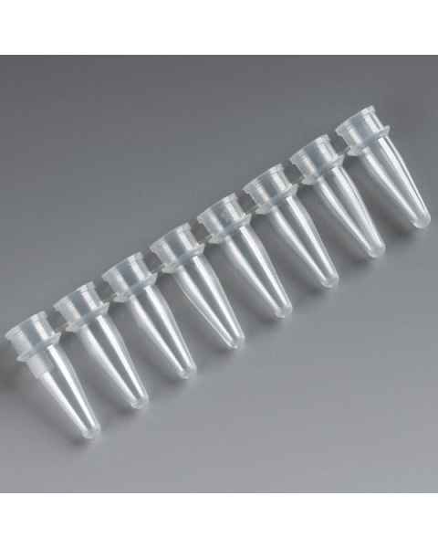 0.2mL PCR Reaction 8-Tube Strip - Thin Wall Polypropylene 