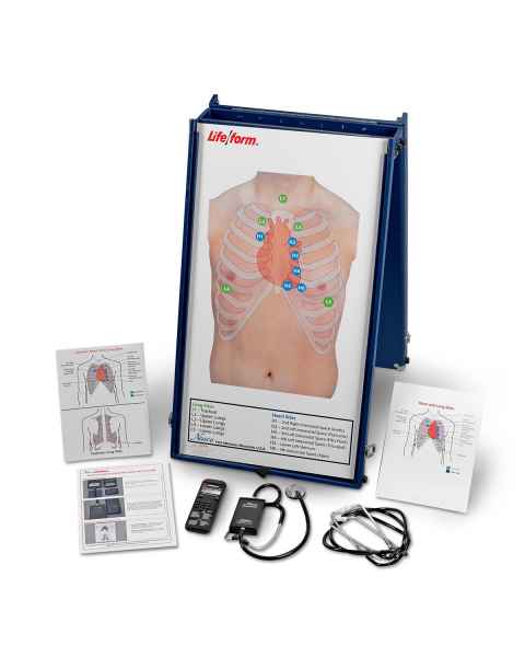 Life/form Anterior Auscultation Practice Board with Case and SmartScope