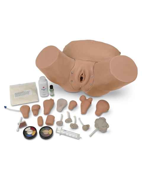 Life/form Advanced Pelvic Examination and Gynecological Simulator
