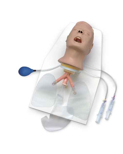 Life/form Advanced Airway Larry Trainer Head with Stand