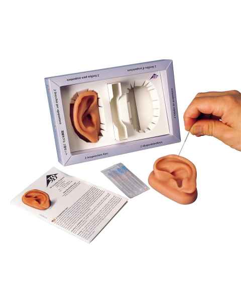 Acupuncture Ear Models - Two