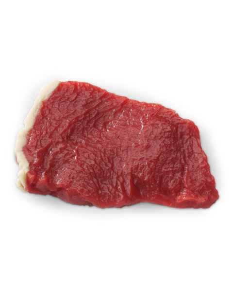 Life/form Steak Food Replica - Sirloin