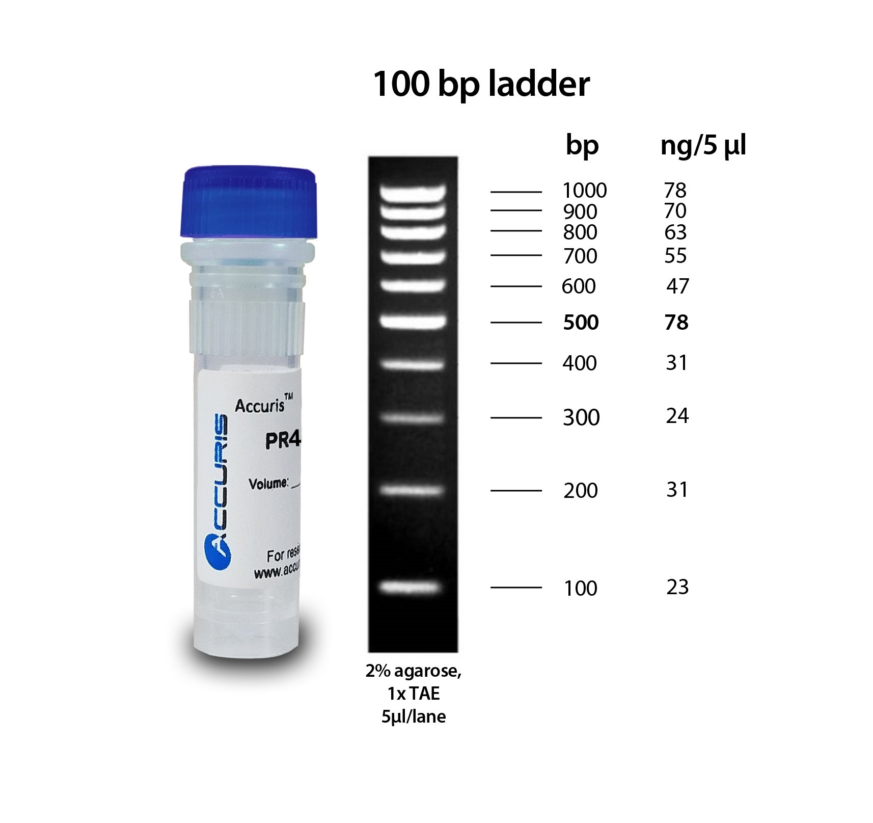 Accuris SmartCheck 100bp DNA Ladder, 5 x 500ul / 500 lanes