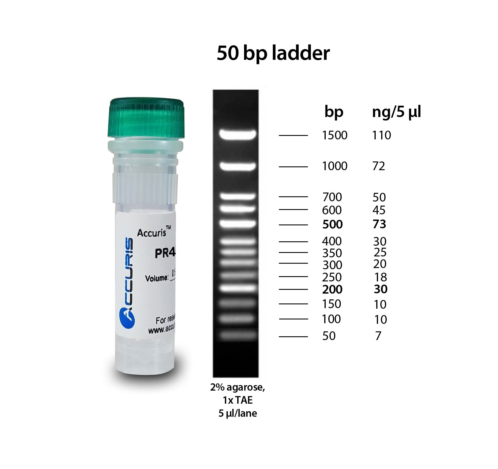 Accuris SmartCheck 50bp DNA Ladder, 500ul / 100 lanes