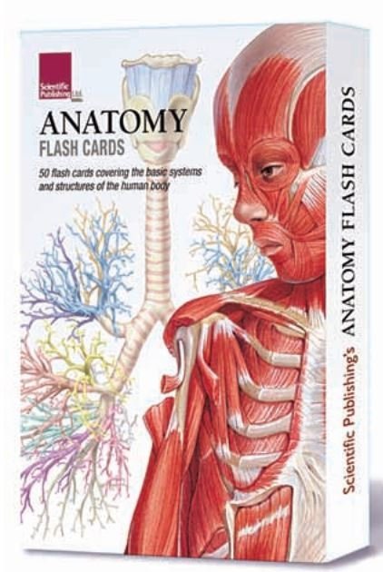 Deals Anatomy flash Cards