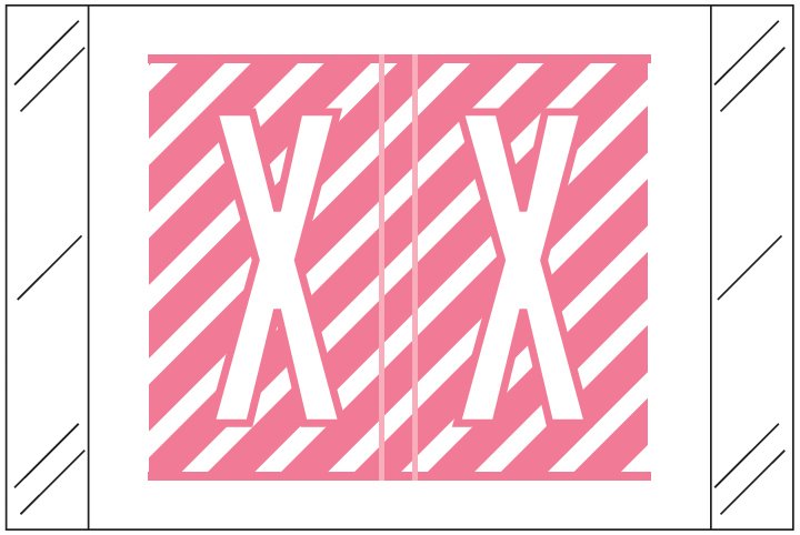 Barkley FASTM Match CTAM Series Alpha Roll Labels - Letter X - Pink and White Label