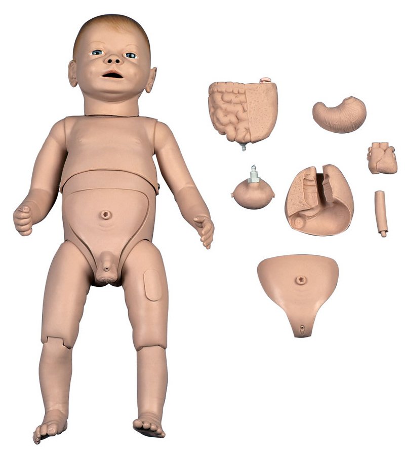 3B Scientific P30 Deluxe Dual Sex Nurse Training New Born Baby 