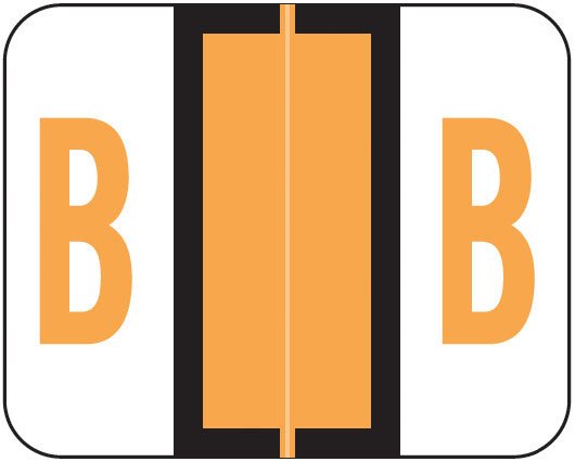 Smead BCCS Match TPPK Series Alpha Sheet Labels - Letter B - Fluorescent Orange