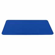 Fisherbrand Silicone Lab Mat Silicone Lab Mat:Facility Safety and  Maintenance