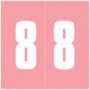 AMES L-A-00178RLP Match AMNM Series Numeric Roll Labels - Number 8 - Pink