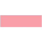 Ames L-A-00134 Match ASLP Series Solid Color Roll Labels - Pink