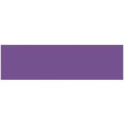 Ames L-A-00134 Match ASLP Series Solid Color Roll Labels - Purple