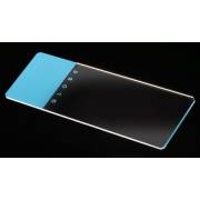 Microscope Slides - Glass - Blue Frosted 1 End 1 Side - 90° Ground Edges Safety Corners (Pack of 144)