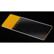 Microscope Slides - Glass - Gold Frosted 1 End 1 Side - 90° Ground Edges Safety Corners (Pack of 144)