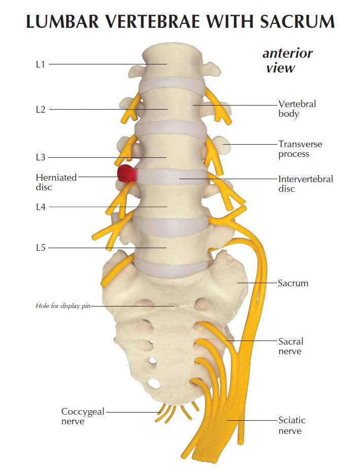 lumbar location