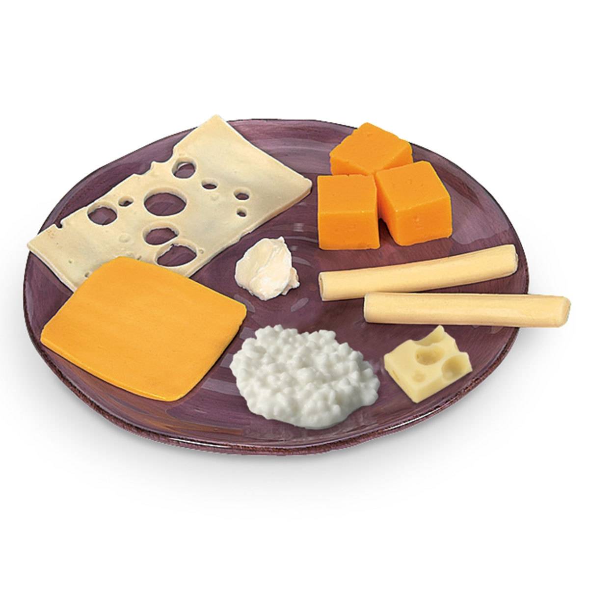 nasco-life-form-cheese-food-replica-kit