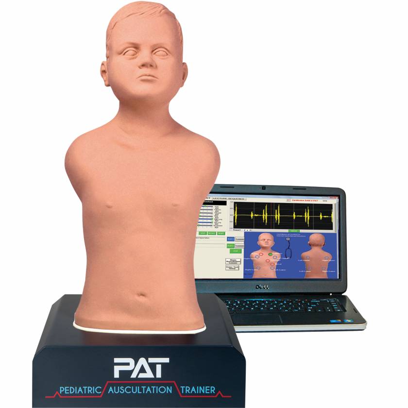 3B Scientific 1020096 PAT® - Pediatric Auscultation Trainer with Laptop, Light Skin Tone