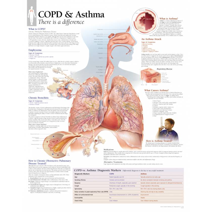 COPD & Asthma Chart