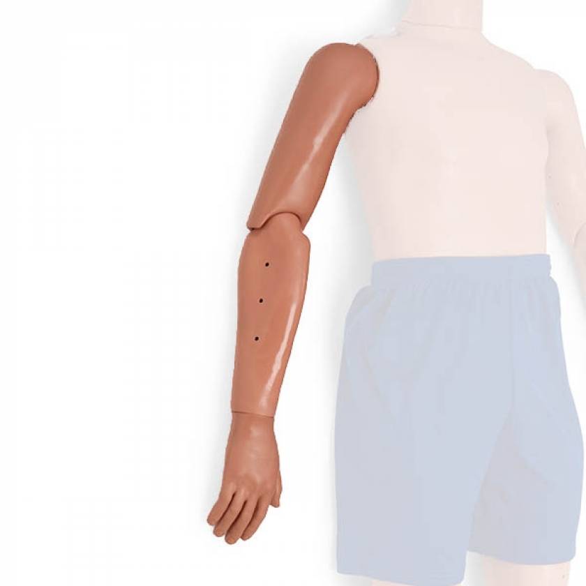 Simulaids Adult Right Arm