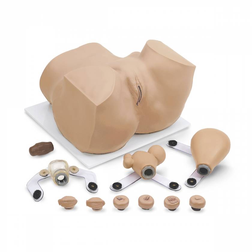 EVA Gynecological Training Manikin