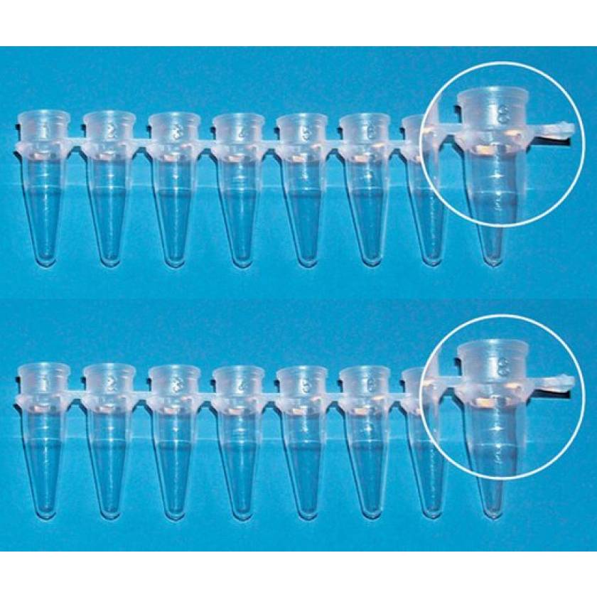 PCR Tube Strip Without Cap 8 x 0.2mL