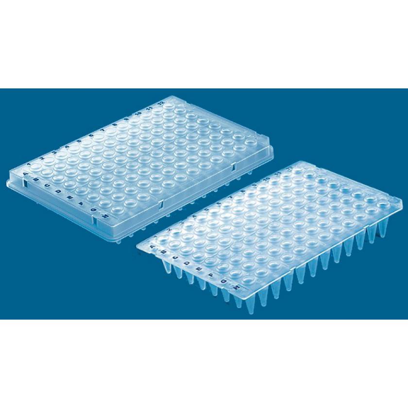 BRAND 96-Well PCR Plates - Polypropylene