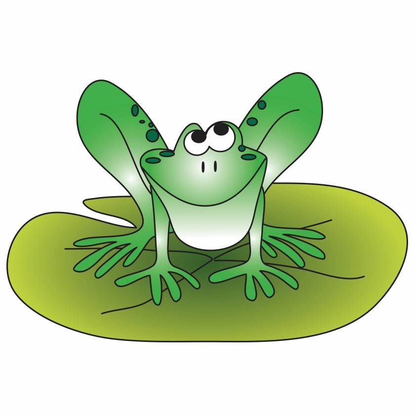 Clinton Froggie Graphic