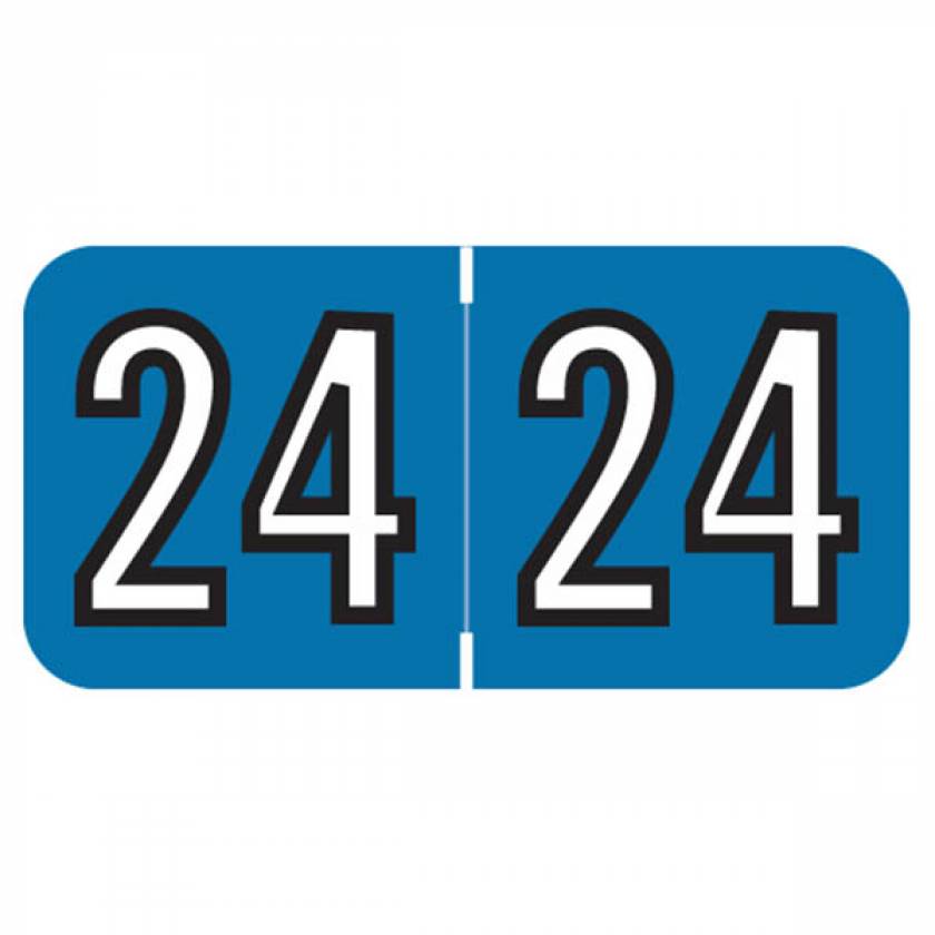 Arden Label BKYM-24-T4 2024 Year Labels - Barkley Compatible BKYM Series - Size 3/4" H x 1 1/2" W