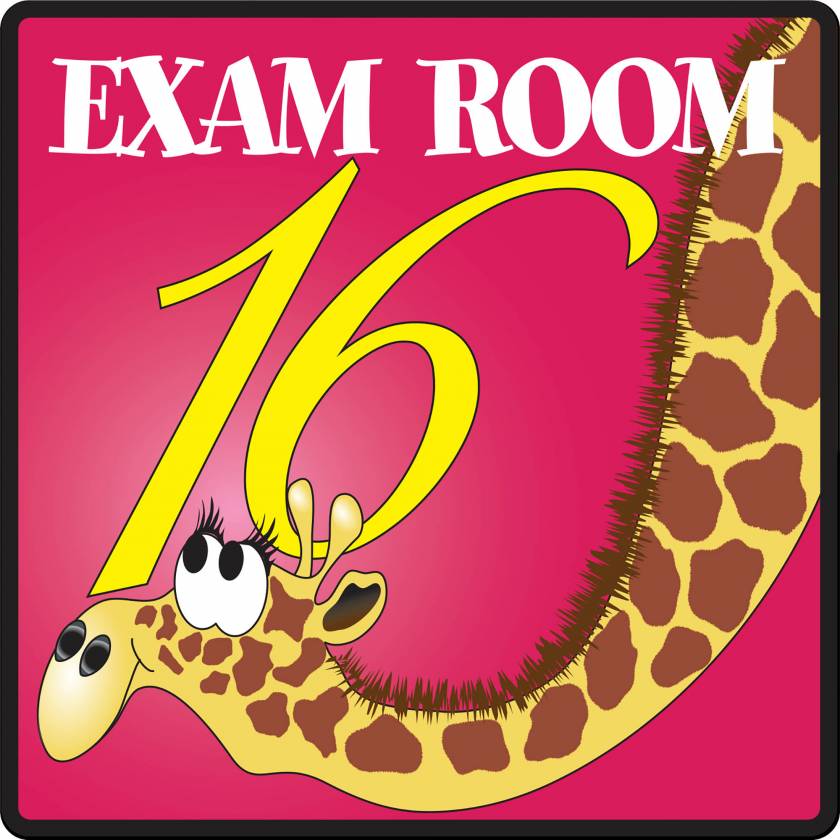 Clinton EX16 Exam Room 16 Sign