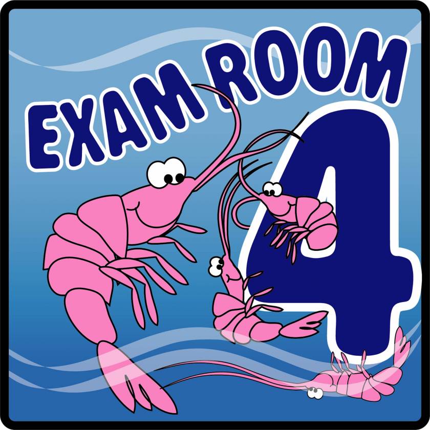 Clinton EX4-O Ocean Series Exam Room 4 Sign