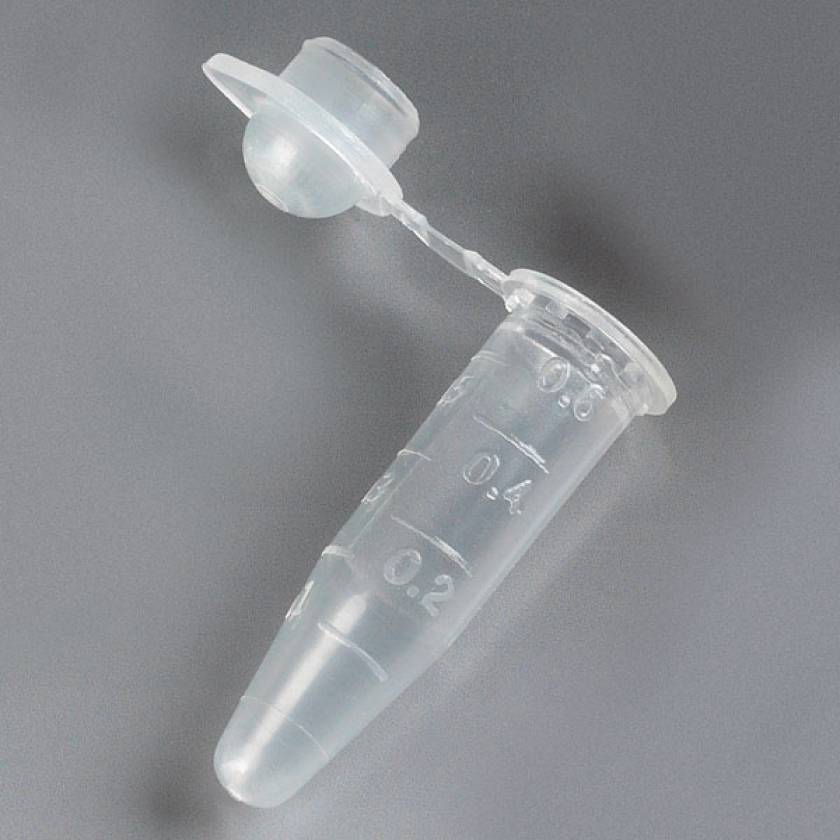 0.6mL PCR Tubes - Thin Wall Polypropylene with Attached Dome Cap - Graduated - Natural