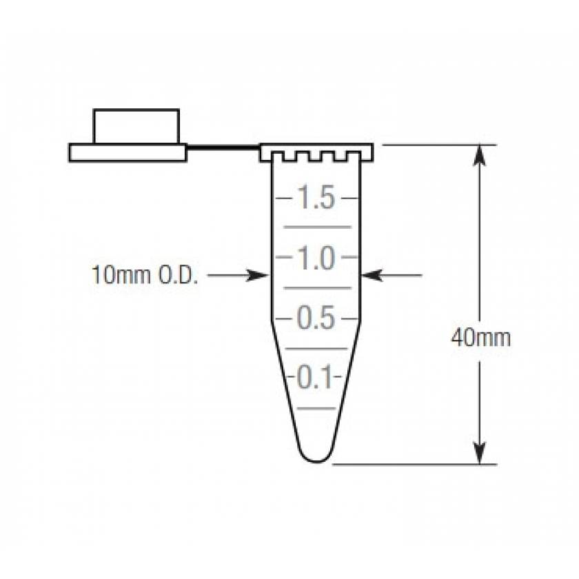 1.5mL Microcentrifuge Tube PP Graduated with Snap Cap by Globe Scientific