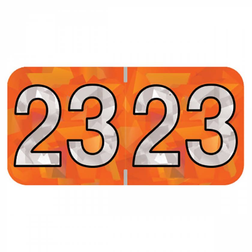 Hoym 23 T4 2023 Year Labels Holographic Orange 