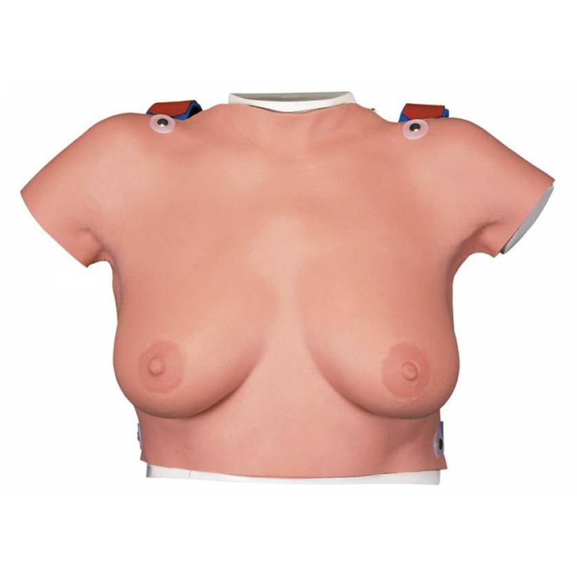 Wearable Breast Self-Exam Model