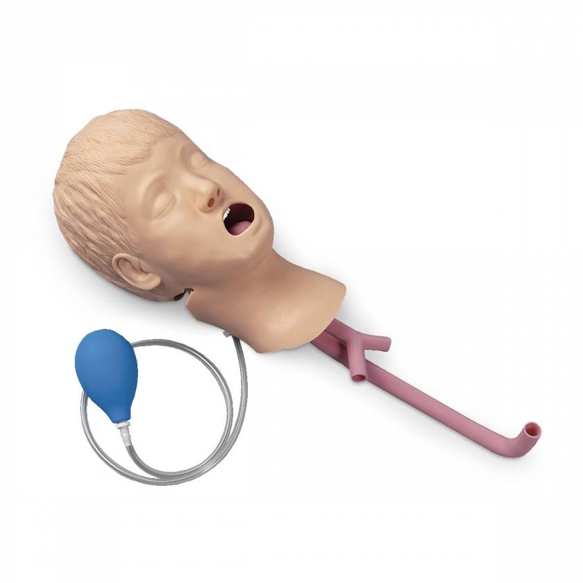 Life/form Child Airway Management Trainer, Head Only