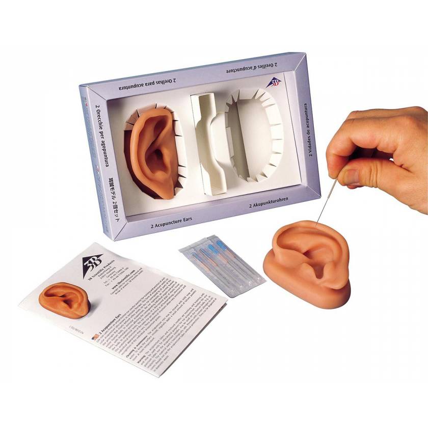 Acupuncture Ear Models - Two