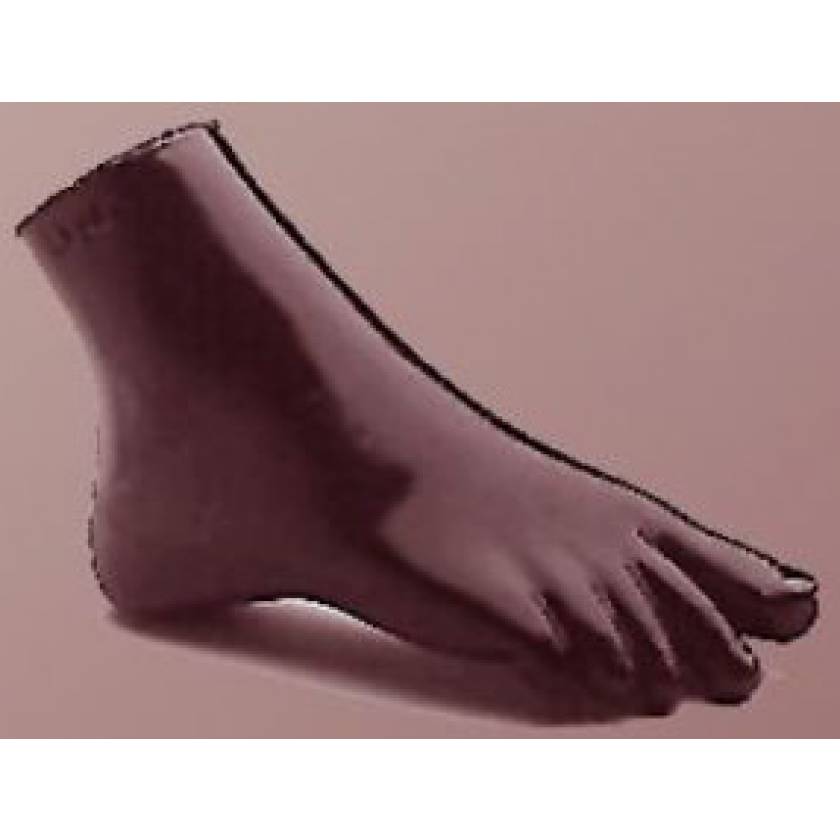 RSD Anthropomorphic Ankle Phantom Plantar Flexion