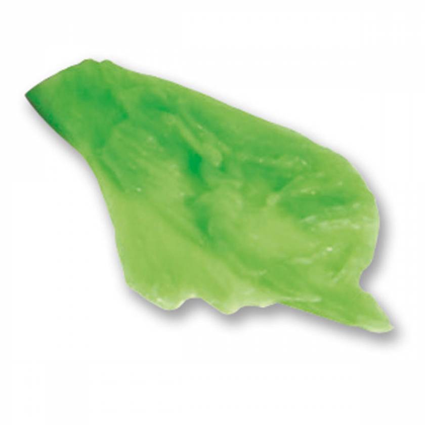 Life/form Lettuce Food Replica - Iceberg