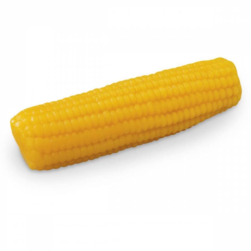 Sweet Corn on the Cob Food Replica